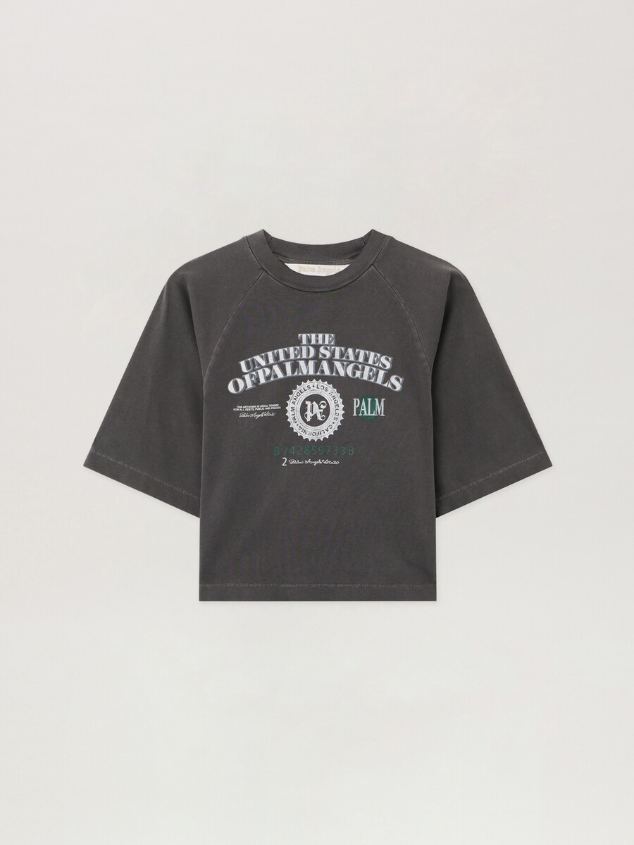 dollar cropped tee