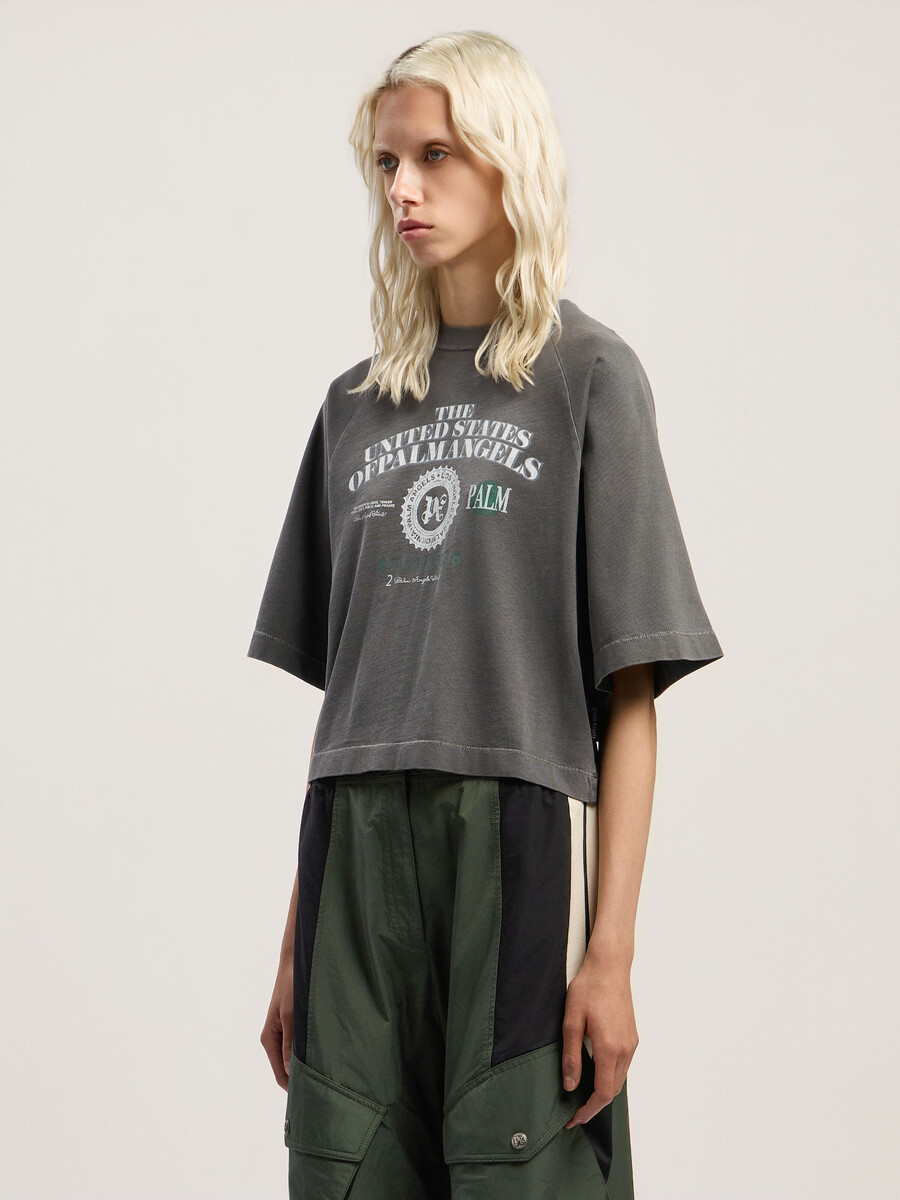 dollar cropped tee